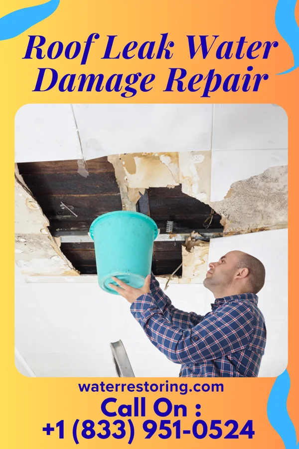 Roof Leak Water Damage Repair in Tovey, IL